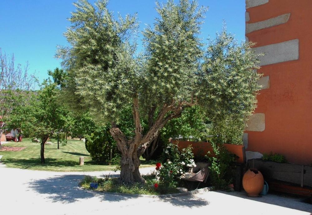 Posada Tresmentiras Aldeanueva del Camino Dış mekan fotoğraf